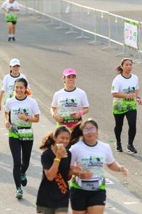 BIB: 
                            <button type="button" onclick="openModal(3554548)" class="btn btn-primary btn-sm float-right btn-popup" data-toggle="modal" data-target=".modal-high-quality">
                        <i class="fas fa-shopping-cart"></i> Add to Cart
                    </button>
                                            <button type="button" onclick="isThisMe(3554548, true)" class="btn btn-success btn-sm float-right btn-popup btn-isme hidden" data-toggle="tooltip" data-placement="bottom" title="นี่คือรูปของคุณใช่ไหม คลิกที่นี่เพื่อเอาเข้าอัลบั้ม">
                        <i class="fas fa-plus"></i> Add to album
                    </button>
                    <button type="button" onclick="isThisMe(3554548, false)" class="btn btn-warning btn-sm float-right btn-popup btn-isnotme hidden">
                        <i class="fas fa-ban"></i> Remove from album
                    </button>